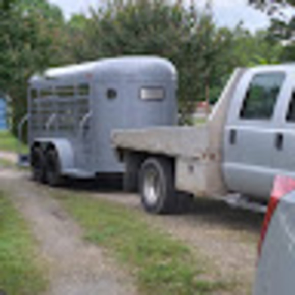 Meet your Posher, Lisa - Picture 1 of 1